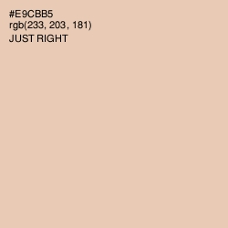 #E9CBB5 - Just Right Color Image