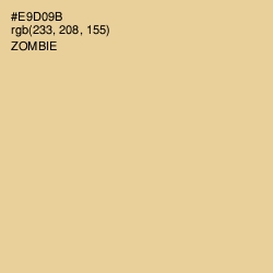 #E9D09B - Zombie Color Image