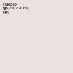 #E9E0E0 - Ebb Color Image