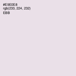 #E9E0E8 - Ebb Color Image