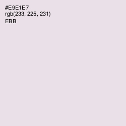 #E9E1E7 - Ebb Color Image