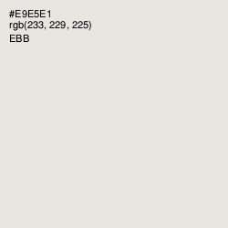 #E9E5E1 - Ebb Color Image