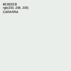 #E9EEEB - Cararra Color Image