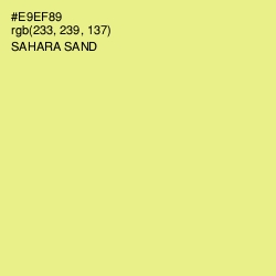 #E9EF89 - Sahara Sand Color Image