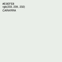 #E9EFE8 - Cararra Color Image