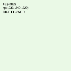 #E9F9E5 - Rice Flower Color Image