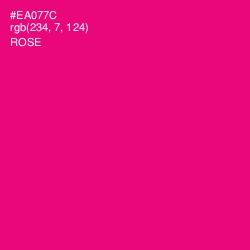 #EA077C - Rose Color Image