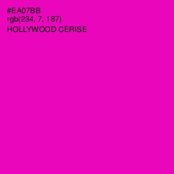 #EA07BB - Hollywood Cerise Color Image