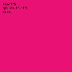 #EA1175 - Rose Color Image