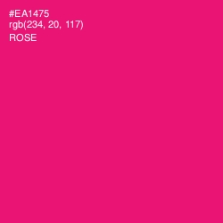 #EA1475 - Rose Color Image