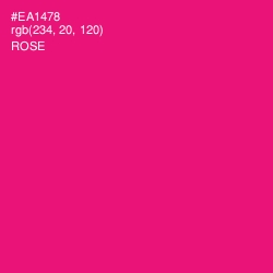 #EA1478 - Rose Color Image