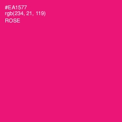 #EA1577 - Rose Color Image