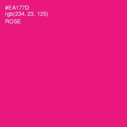 #EA177D - Rose Color Image