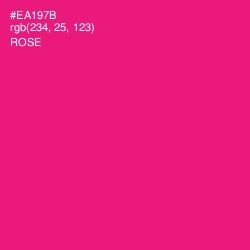 #EA197B - Rose Color Image