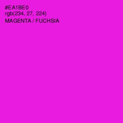 #EA1BE0 - Magenta / Fuchsia Color Image