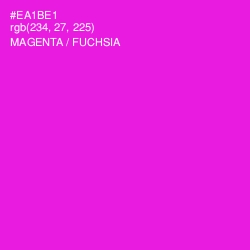 #EA1BE1 - Magenta / Fuchsia Color Image
