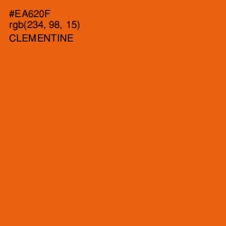 #EA620F - Clementine Color Image