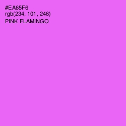 #EA65F6 - Pink Flamingo Color Image