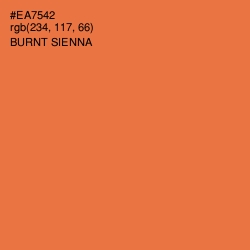 #EA7542 - Burnt Sienna Color Image
