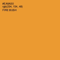 #EA9A30 - Fire Bush Color Image