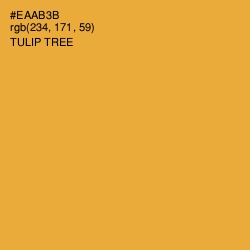 #EAAB3B - Tulip Tree Color Image