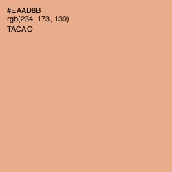 #EAAD8B - Tacao Color Image