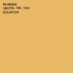 #EAB968 - Equator Color Image
