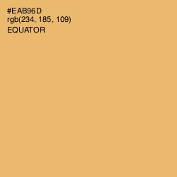 #EAB96D - Equator Color Image