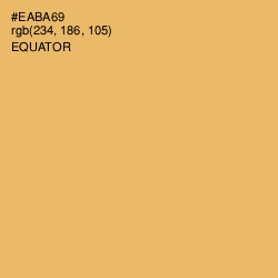 #EABA69 - Equator Color Image