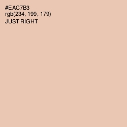 #EAC7B3 - Just Right Color Image