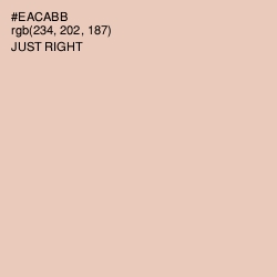 #EACABB - Just Right Color Image