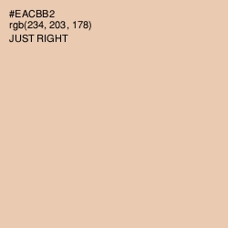 #EACBB2 - Just Right Color Image