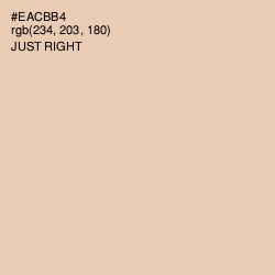 #EACBB4 - Just Right Color Image