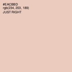 #EACBBD - Just Right Color Image