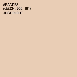 #EACDB5 - Just Right Color Image