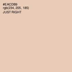 #EACDB9 - Just Right Color Image