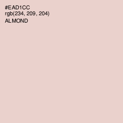 #EAD1CC - Almond Color Image