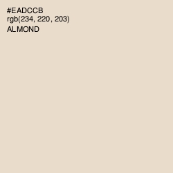 #EADCCB - Almond Color Image