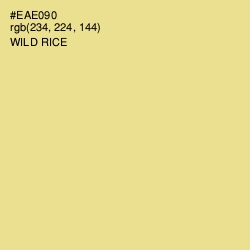 #EAE090 - Wild Rice Color Image