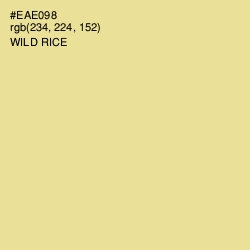 #EAE098 - Wild Rice Color Image