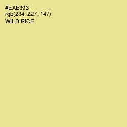 #EAE393 - Wild Rice Color Image