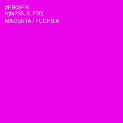 #EB03EB - Magenta / Fuchsia Color Image