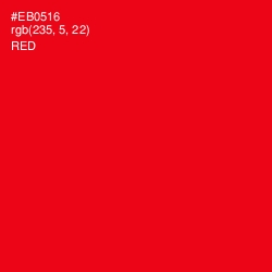 #EB0516 - Red Color Image