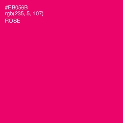 #EB056B - Rose Color Image