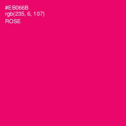 #EB066B - Rose Color Image