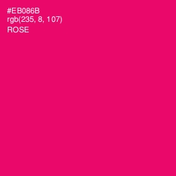 #EB086B - Rose Color Image