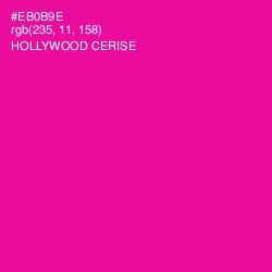 #EB0B9E - Hollywood Cerise Color Image