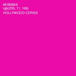 #EB0BA9 - Hollywood Cerise Color Image