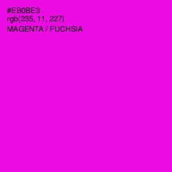 #EB0BE3 - Magenta / Fuchsia Color Image