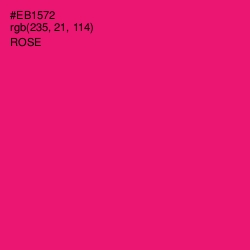 #EB1572 - Rose Color Image